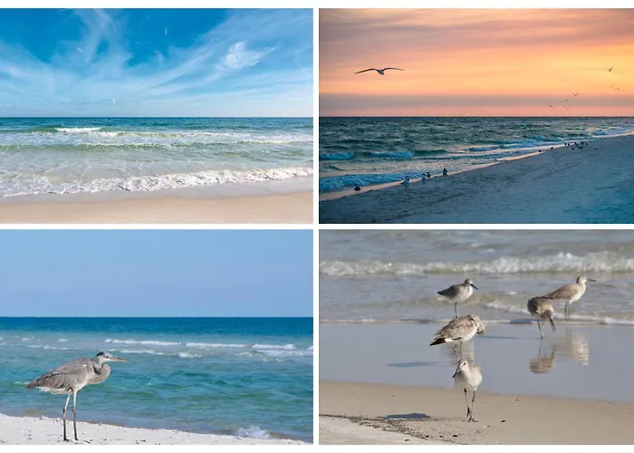 Crystal Shores Unit 901 * Gulf Shores